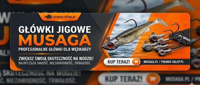 Musaga – główki jigowe, które zmieniają zasady gry w spinningu