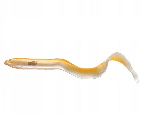 REAL EEL - ALBINO - 15cm
