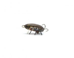 INSECT - FS - 2,6cm