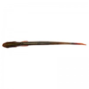 CRAFT DYING MINNOW - BLUE PEARL - 7,5cm