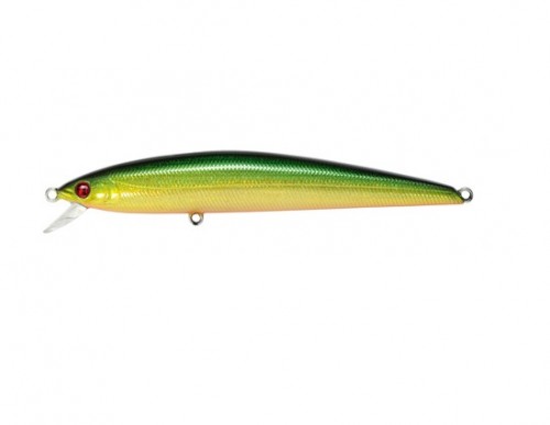 AGARRON - SF - GOLD GREEN - 8cm