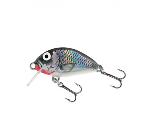 TINY - 3S - HGS - 3cm