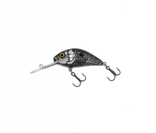 HORNET - 6F - BSS - 6cm