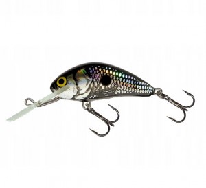 HORNET - 5S - BSS - 5cm