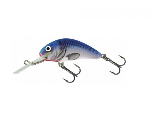 HORNET - 6S - SBH - 6cm