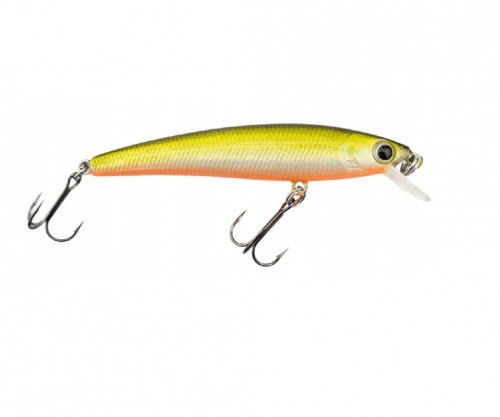 BETA MINNOW - FLOATING - 6cm