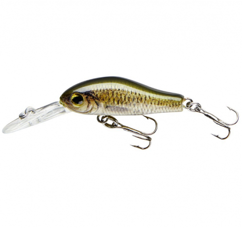 COR F2 - CARP - 3,5cm