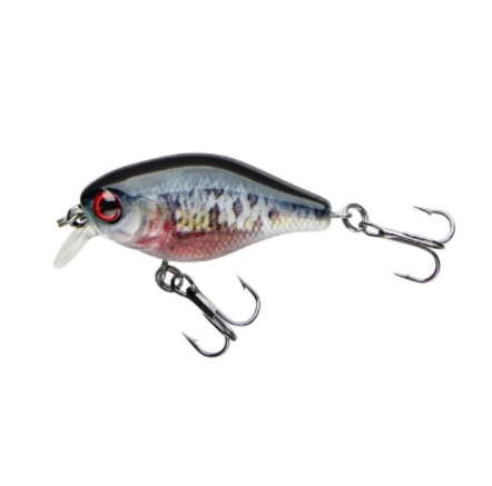 COR F3 - DYING ROCH - 4cm