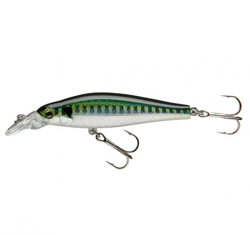 COR SP2 - HERRING - 6,5cm