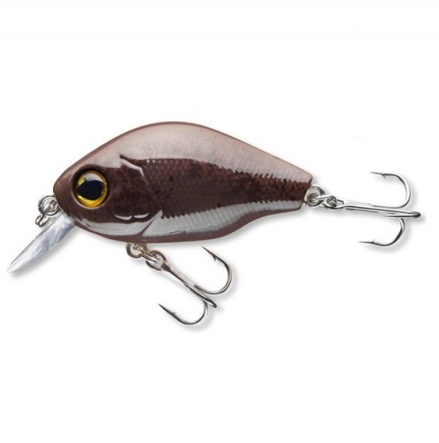 COR F14 - CHOCOLATE - 4,5cm