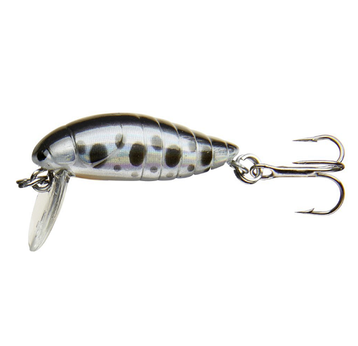 COR F10 - DOTTED ROACH - 2,8cm