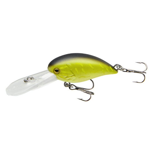 COR F12 - WATERMELON SEED - 4cm