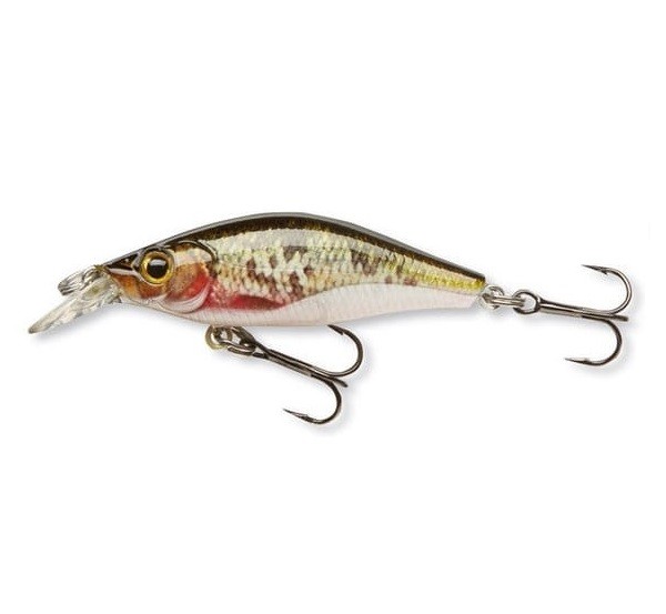 DEEP BABY SHAD RELOADED - DYING ROACH - 4cm