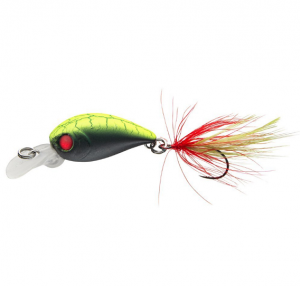 COR F16 - UV HOT BACK - 2,7cm