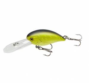 COR F12 - WATERMELON SEED - 4cm