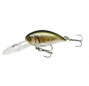 COR F12 - CARP - 4cm