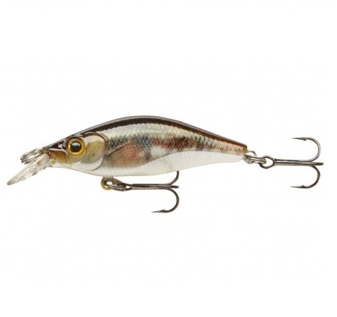 SHALLOW BABY SHAD RELOADED - MINNOW - 4cm