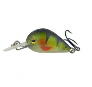 BABY BOOMER - PERCH - 2,3cm