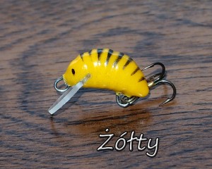 KIEŁŻYK - F - 1,7cm