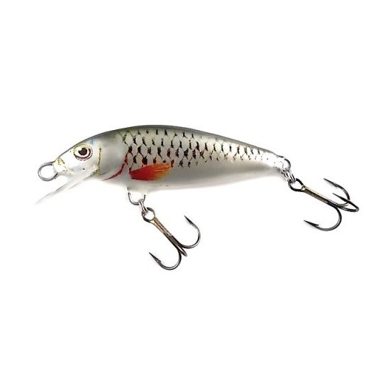 CLASSIC - S - S - 5cm