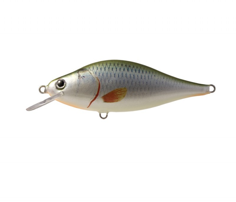 TEMPTER F - GRO - 14cm