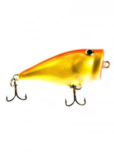 SPLASH POP - GFR - 4cm