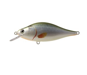 TEMPTER F - GRO - 14cm