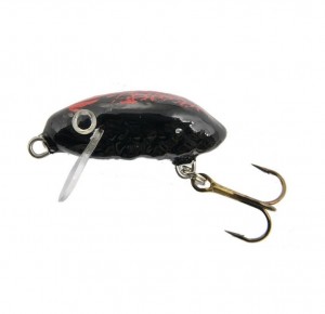 CHRABĄSZCZ SMUŻAK F - 3cm