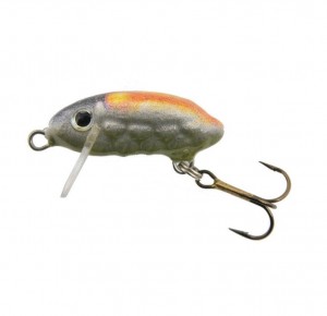 CHRABĄSZCZ SMUŻAK F - 3cm