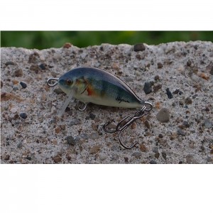 WINNER - OKOŃ - S - 3cm