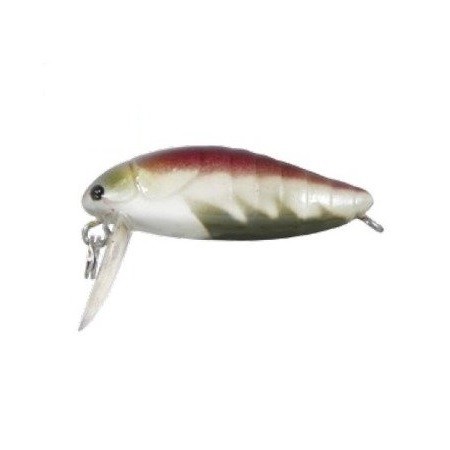 POWER BUG - S - 2,8cm