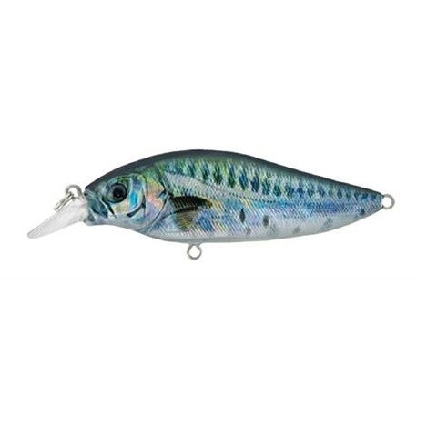SHALLOW SHAD SSH - F - 8cm