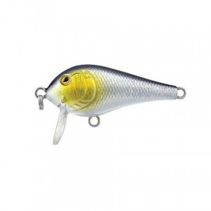 SHALLOW SHAD - F - 4cm