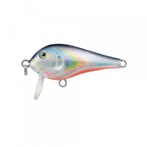 SHALLOW SHAD - F - 4cm