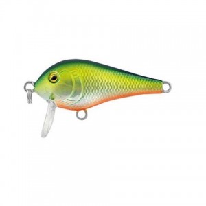 SHALLOW SHAD - F - 4cm