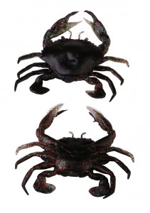 MANIC CRAB - BLUE CRAB - 2,5cm