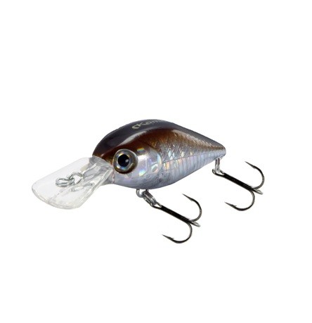 ROCKY RIVER - BREAM - SF - 3,7CM