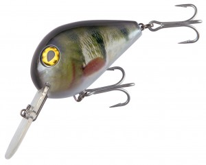 CAT TERRITORY MEANEST CAT - F -  6cm