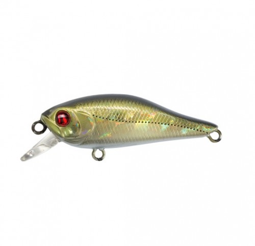 CHEERFUL - SP - DOUBLET 2 - 6cm