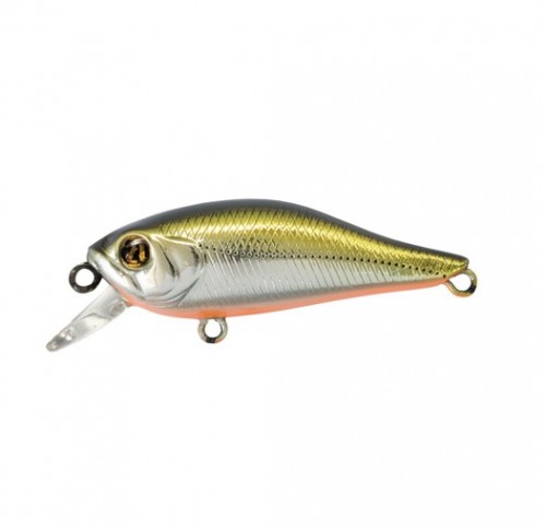 CHEERFUL - SP - SILVER BACK OB - 6cm