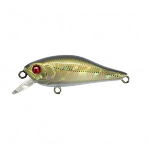 CHEERFUL - SP - DOUBLET 2 - 6cm