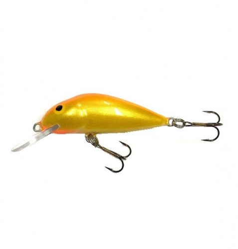 SCOUT - F - GFR - 4cm