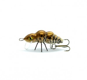 WASP - PEARL - F - 2,7cm