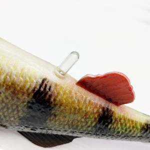 PERCH SHAD - PERCH - 12,5cm