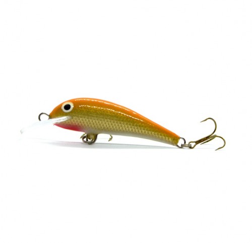 KRAKUSEK NR4 - GP - 5cm