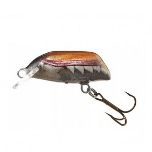 BEETLE F - NBT - 3cm