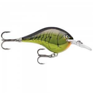 DT 6 SERIES - MARDI GRAS - 5cm