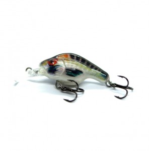 OMEGA - WHITE & STRIPES - F - 3,7cm