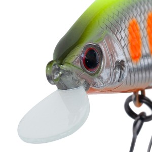 ALEXANDRA FS - ORGAN CHART BLACK - 5cm