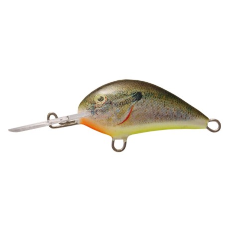 BLAGIER - S - SB - 3,5cm